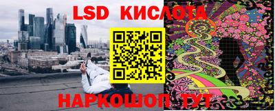 мяу мяу мука Донской