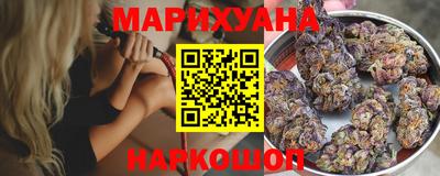гидра Дубна