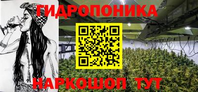 гидра Дубна