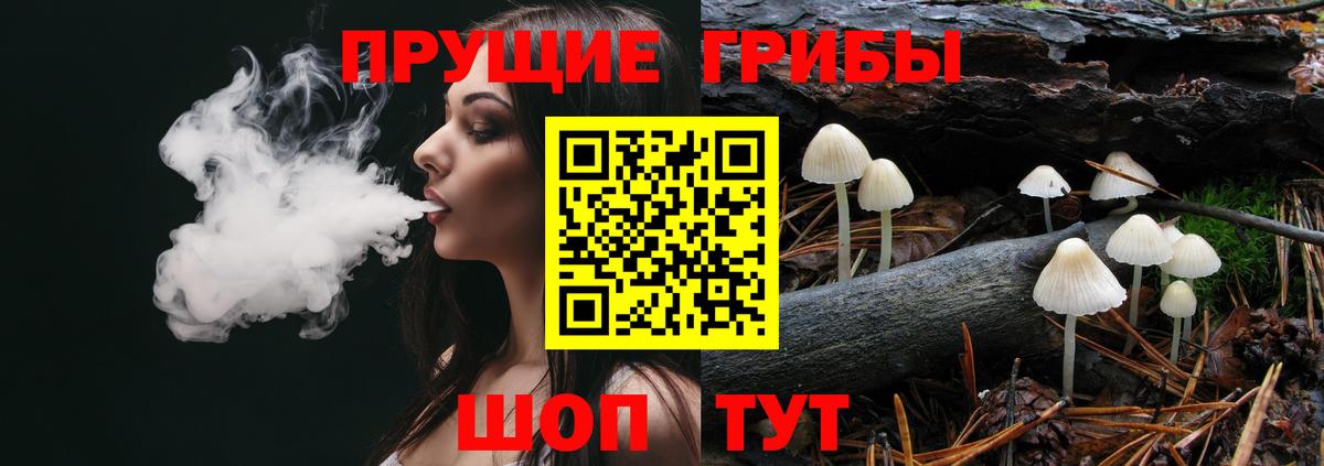 Галлюциногенные грибы Magic Shrooms  Вход с VPN  Новоалександровск  Псилоцибиновые грибы MAGIC MUSHROOMS 